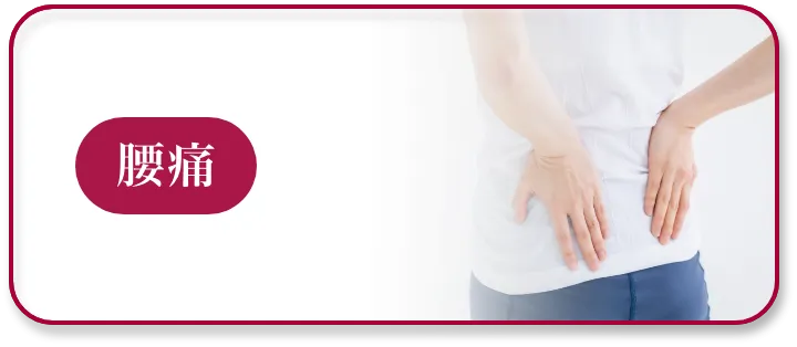 腰痛ページへボタン
